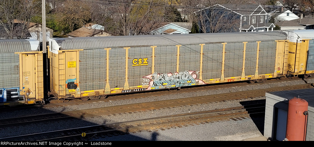 TTGX 988187