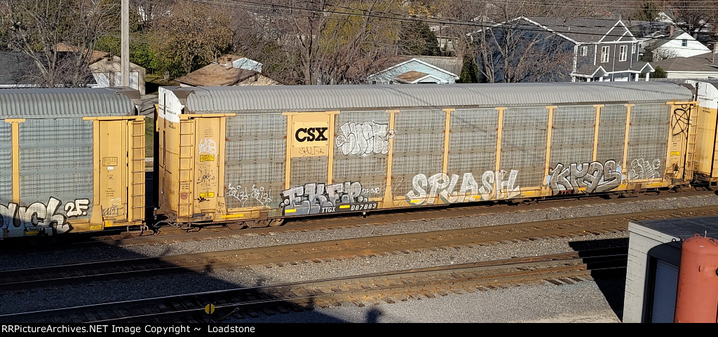 TTGX 987883