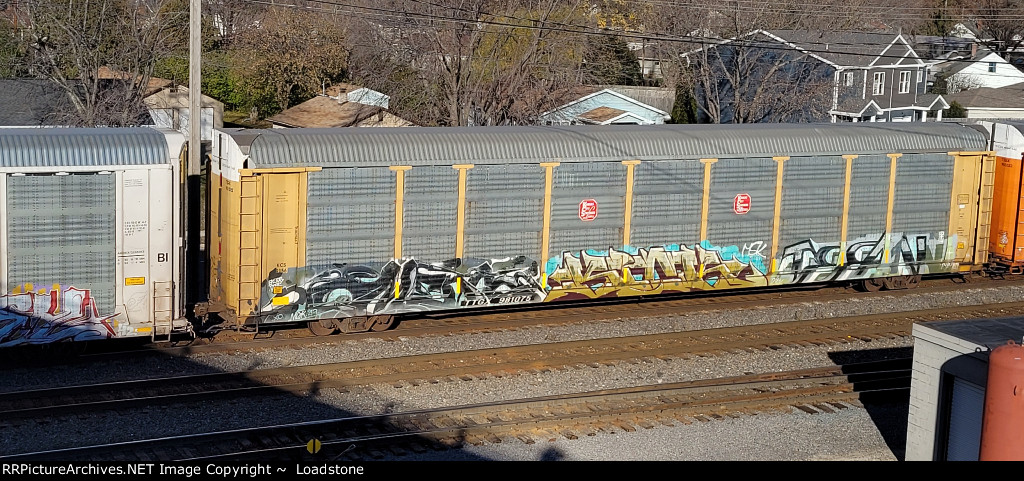 TTGX 981075