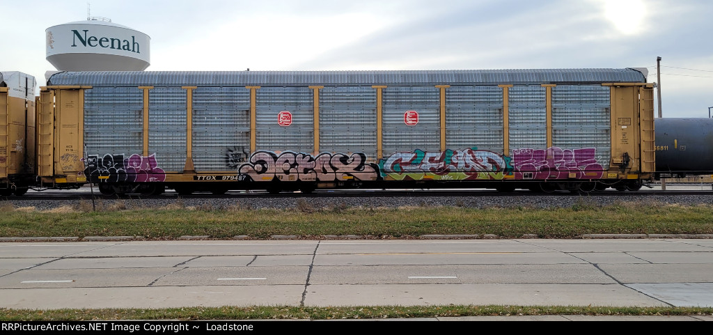 TTGX 979487