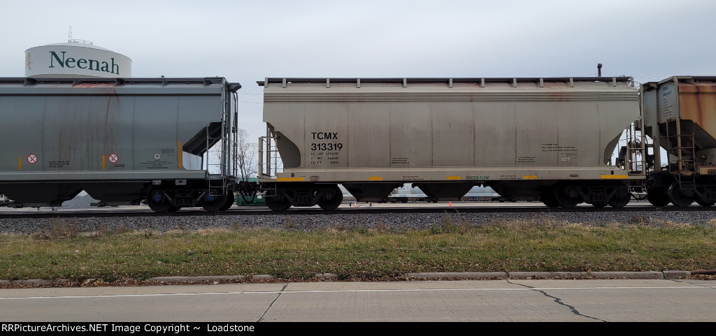 TCMX 313319