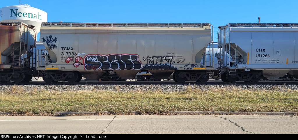 TCMX 313386