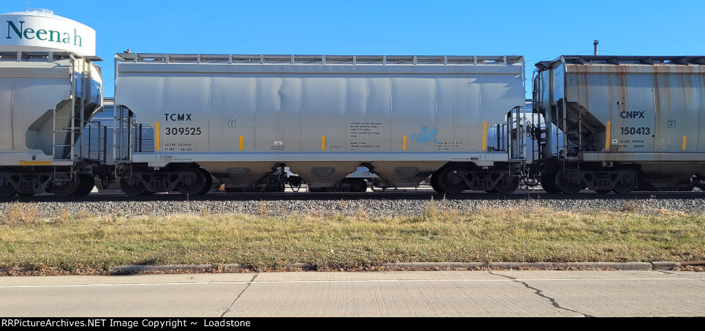 TCMX 309525