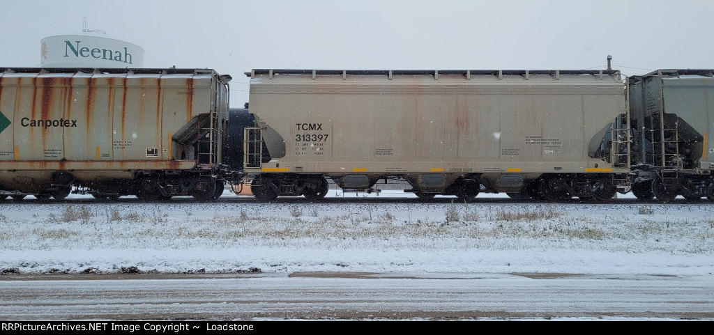 TCMX 313397