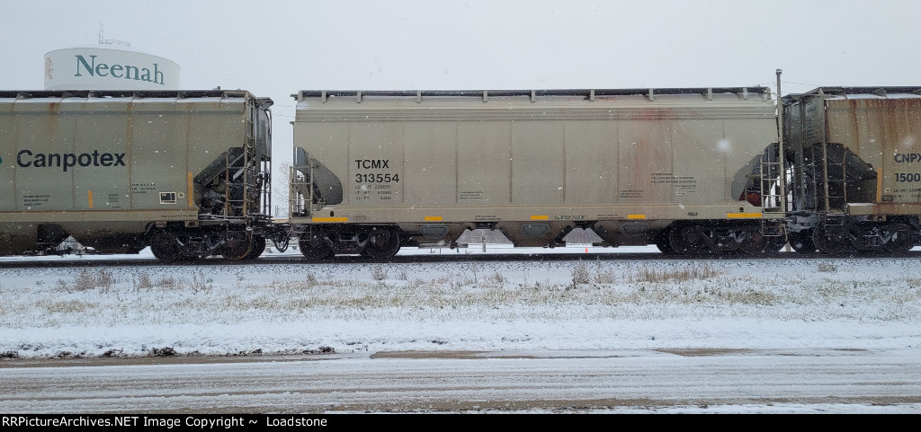 TCMX 313554