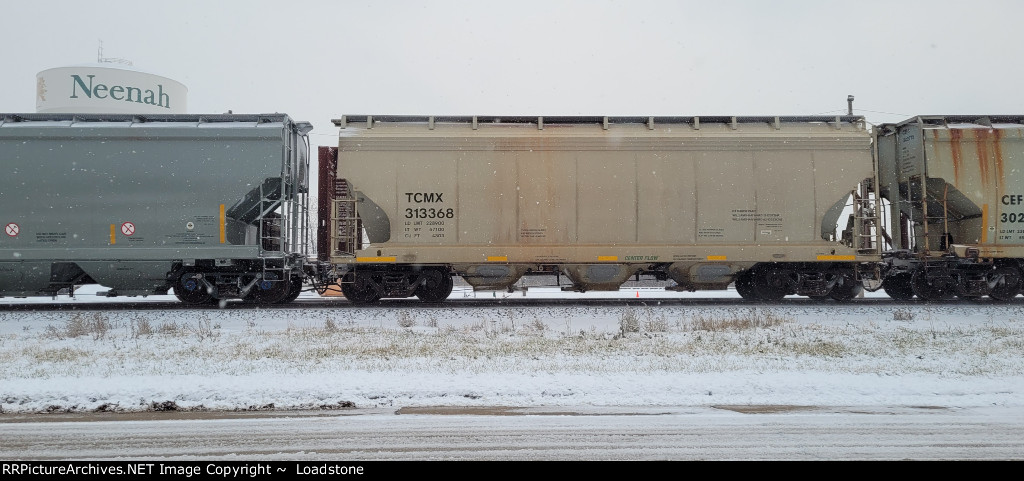 TCMX 313368