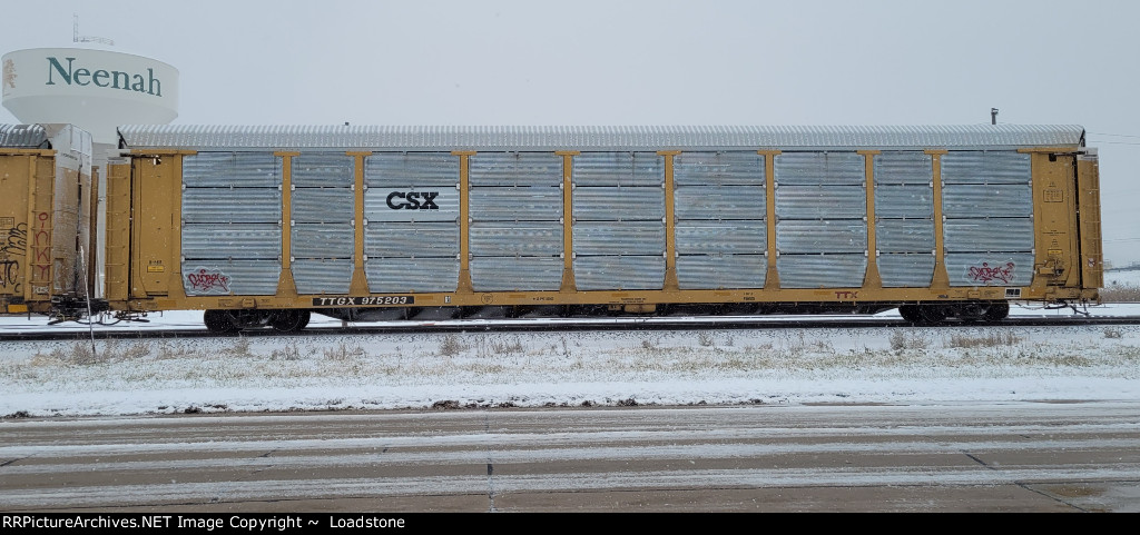 TTGX 975203