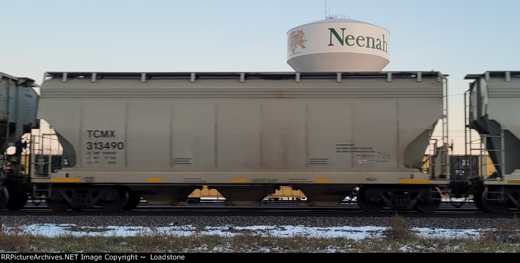 TCMX 313490