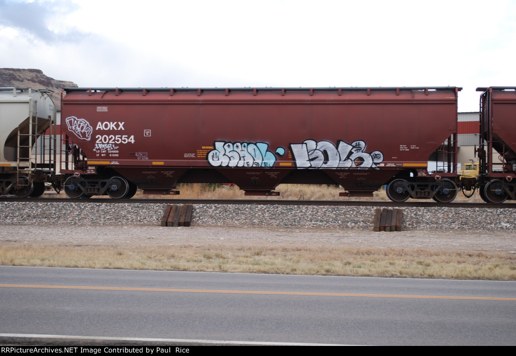 AOKX 202554