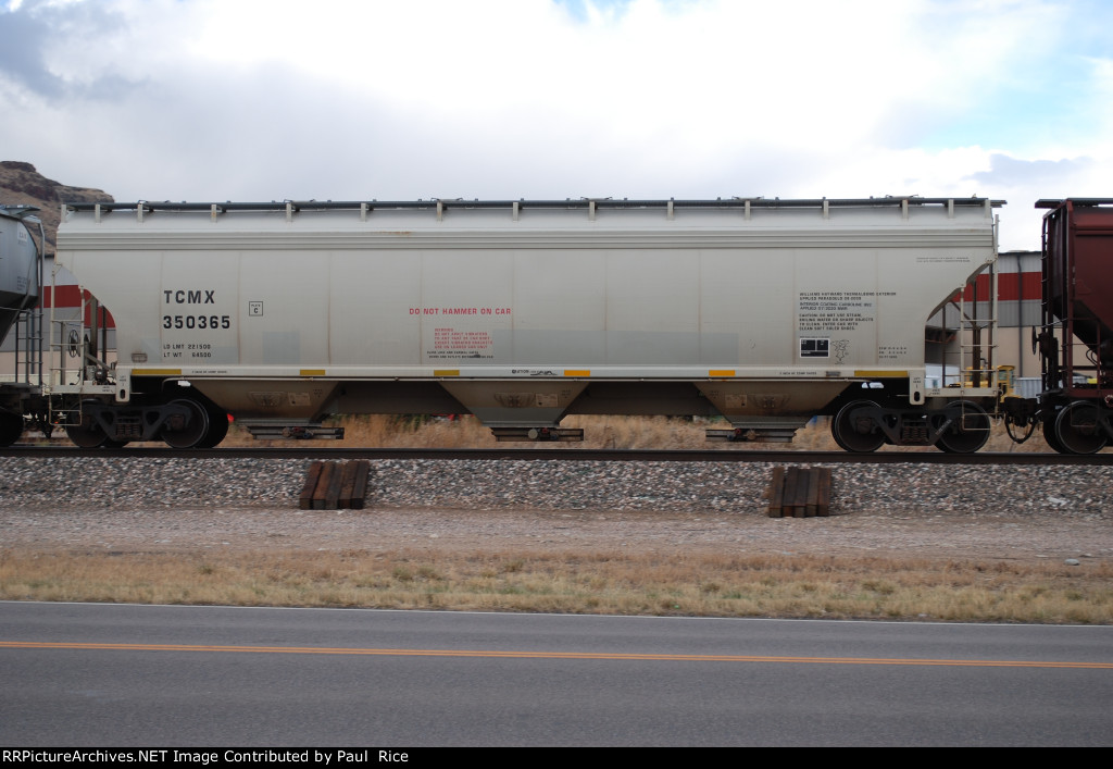 TCCMX 350365