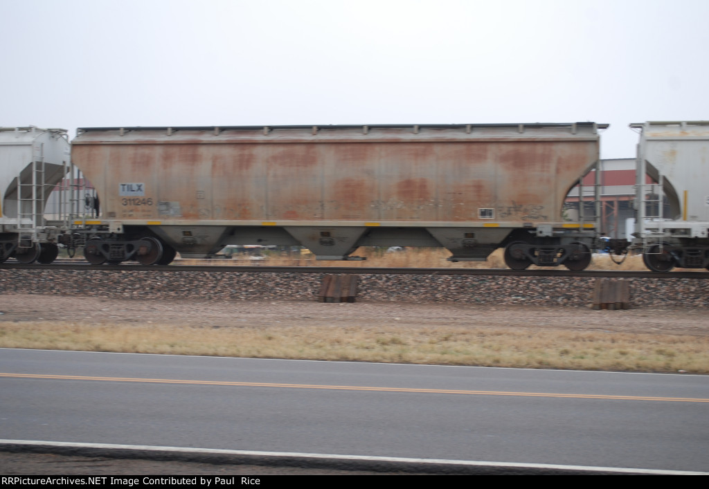 TILX 311246