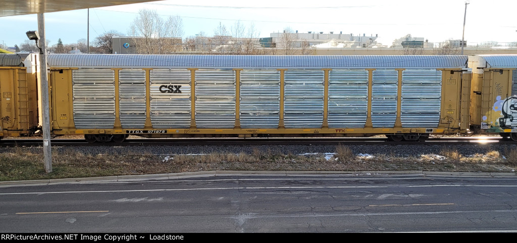 TTGX 971878