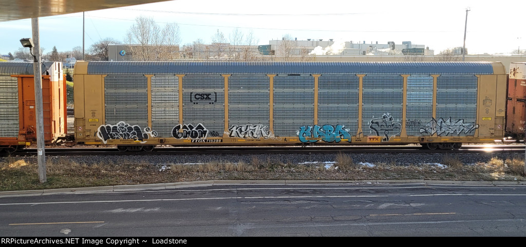 TTGX 715398