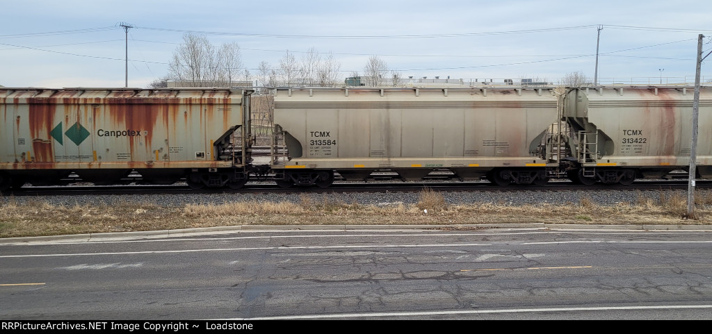 TCMX 313584