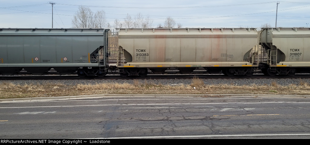TCMX 313383