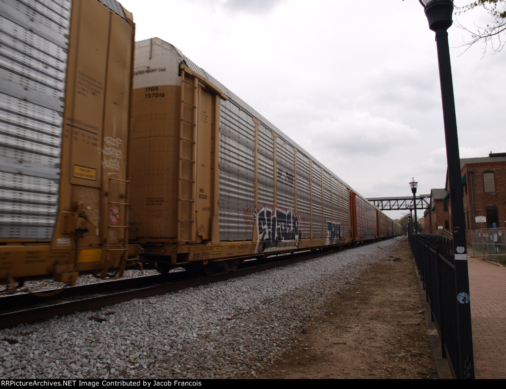 TTGX 707016