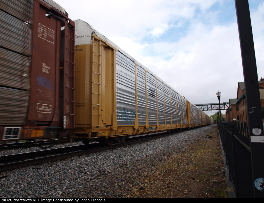 TTGX 709203