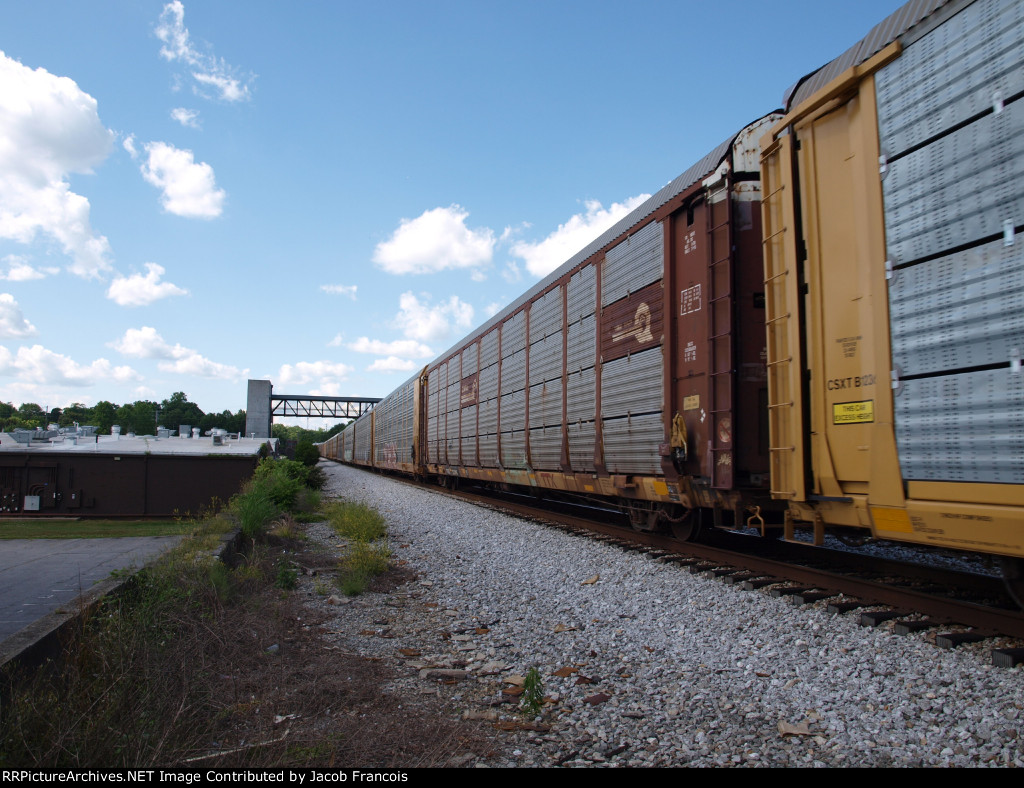 TTGX 253967