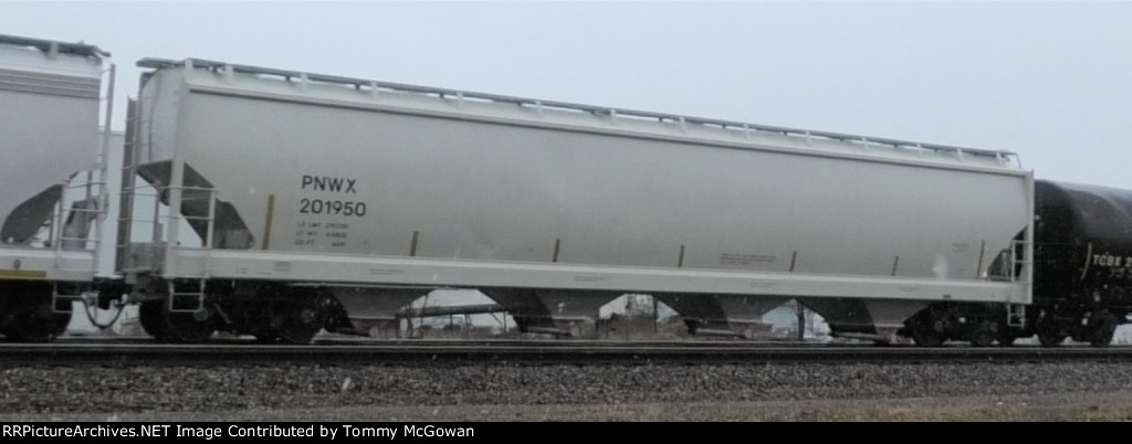PNWX 201950