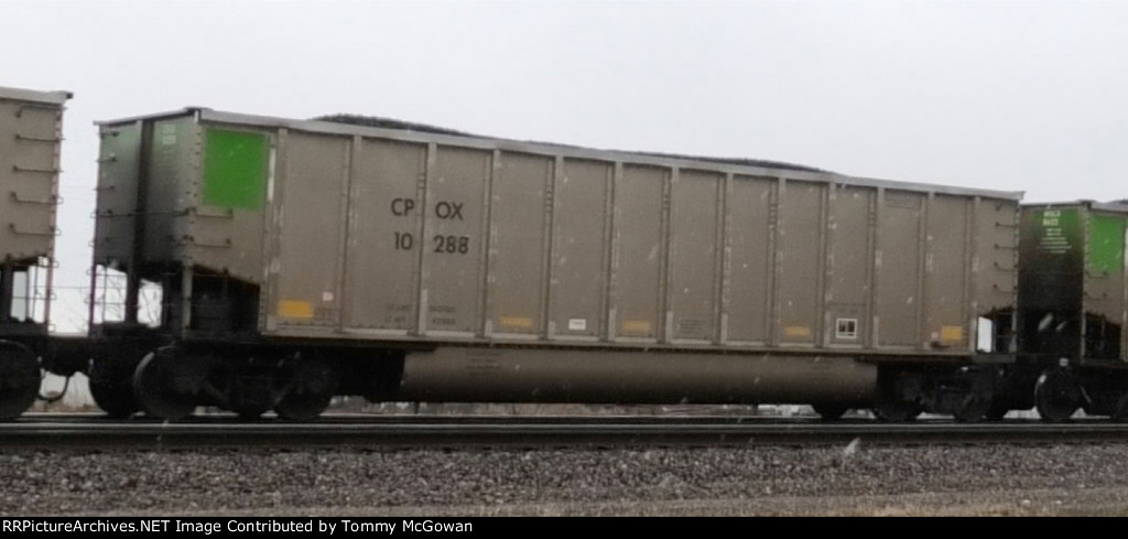 CPOX 10288