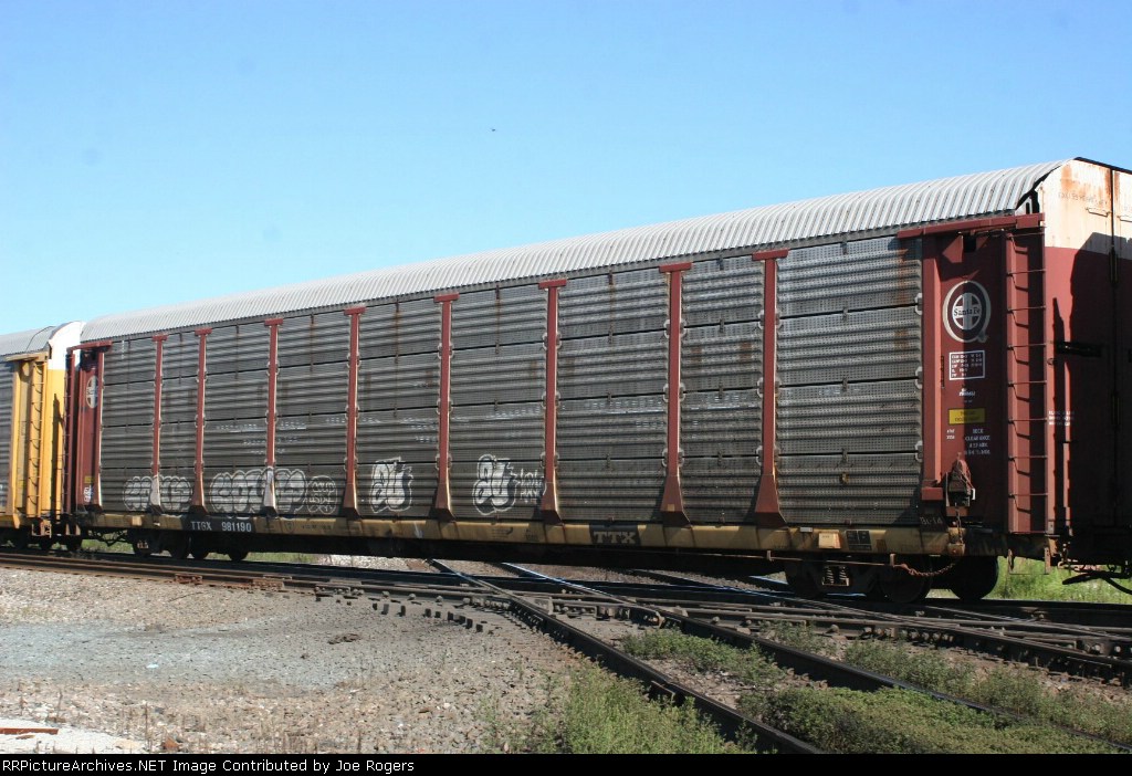 TTGX 981190