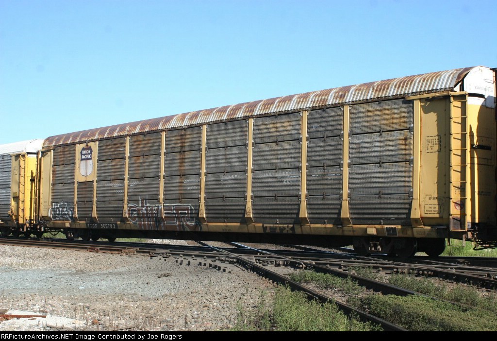 TTGX 965783