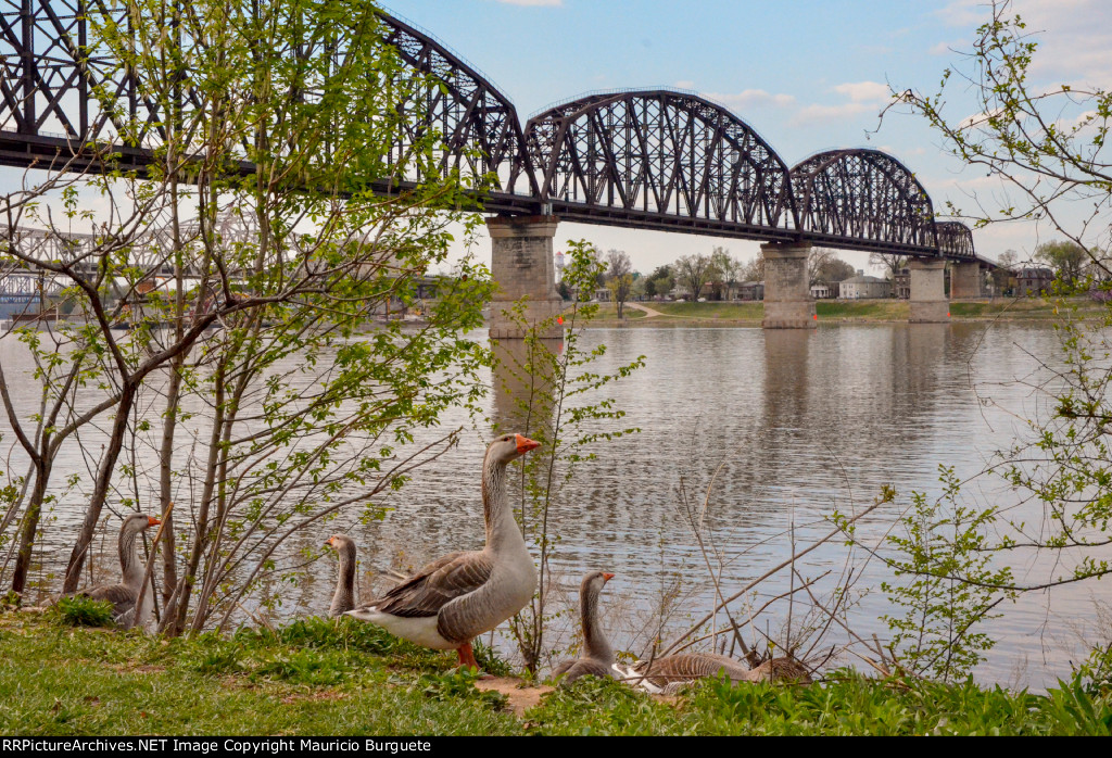 The Big Four Bridge - Ohio River Bridge