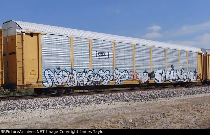 TTGX 941560