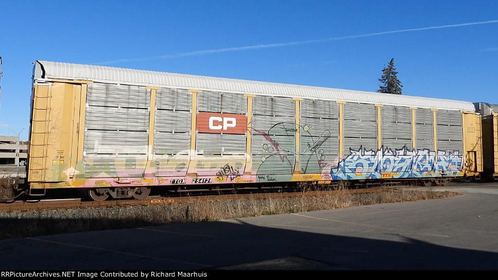 TTGX 254126 CP
