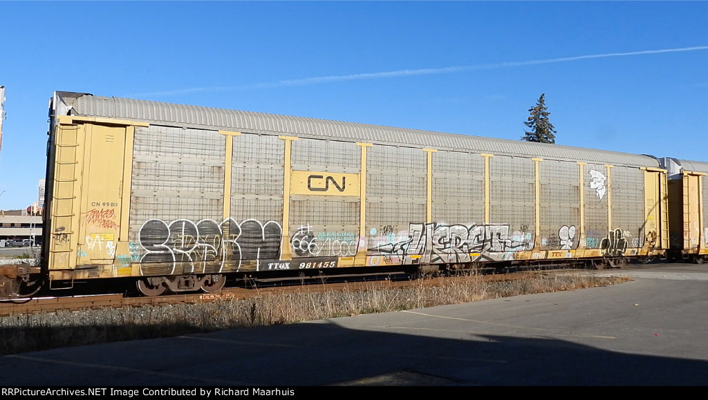 TTGX 981455 CN