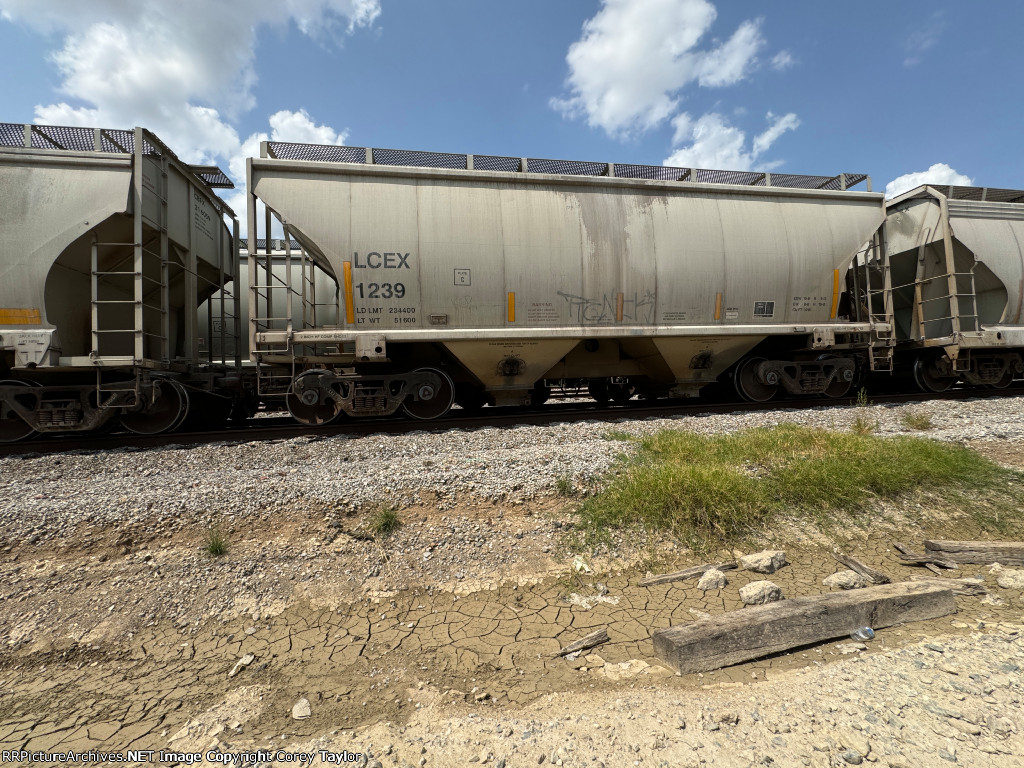 LCEX 1239
