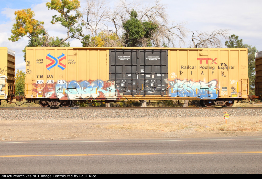 TBOX 663673