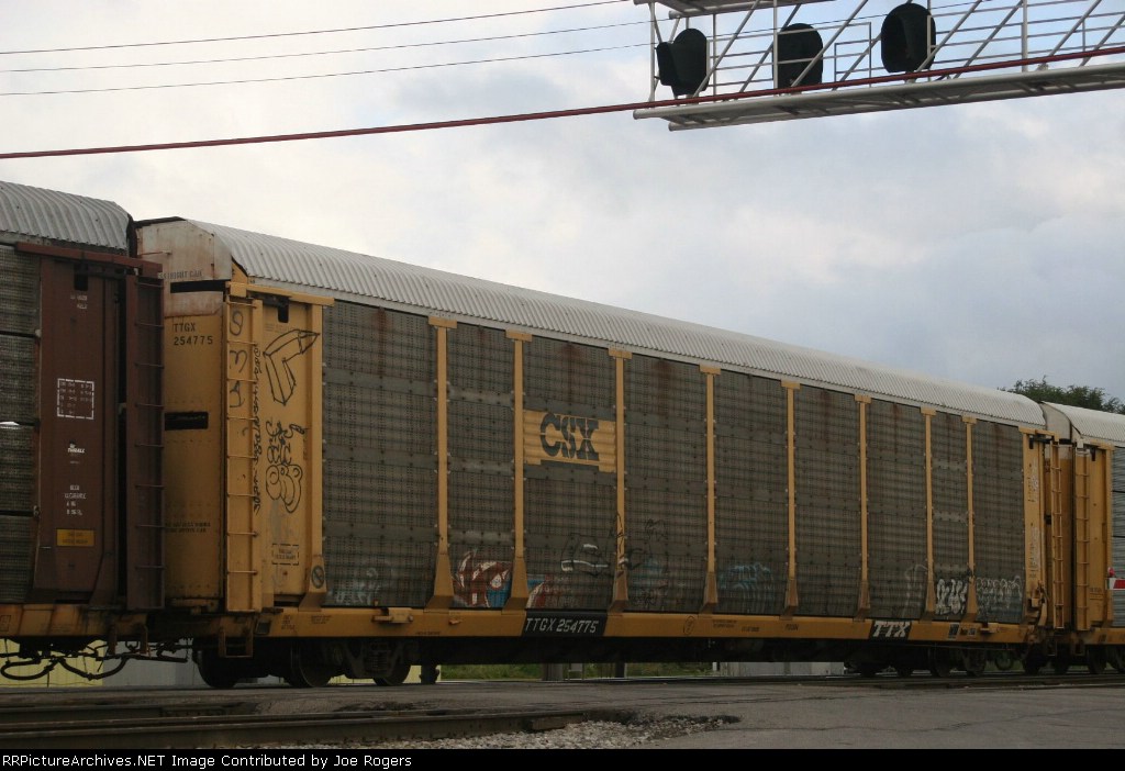 TTGX 254775
