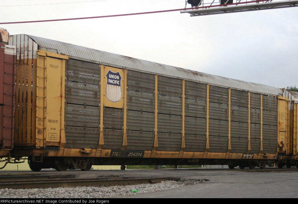 TTGX 254394