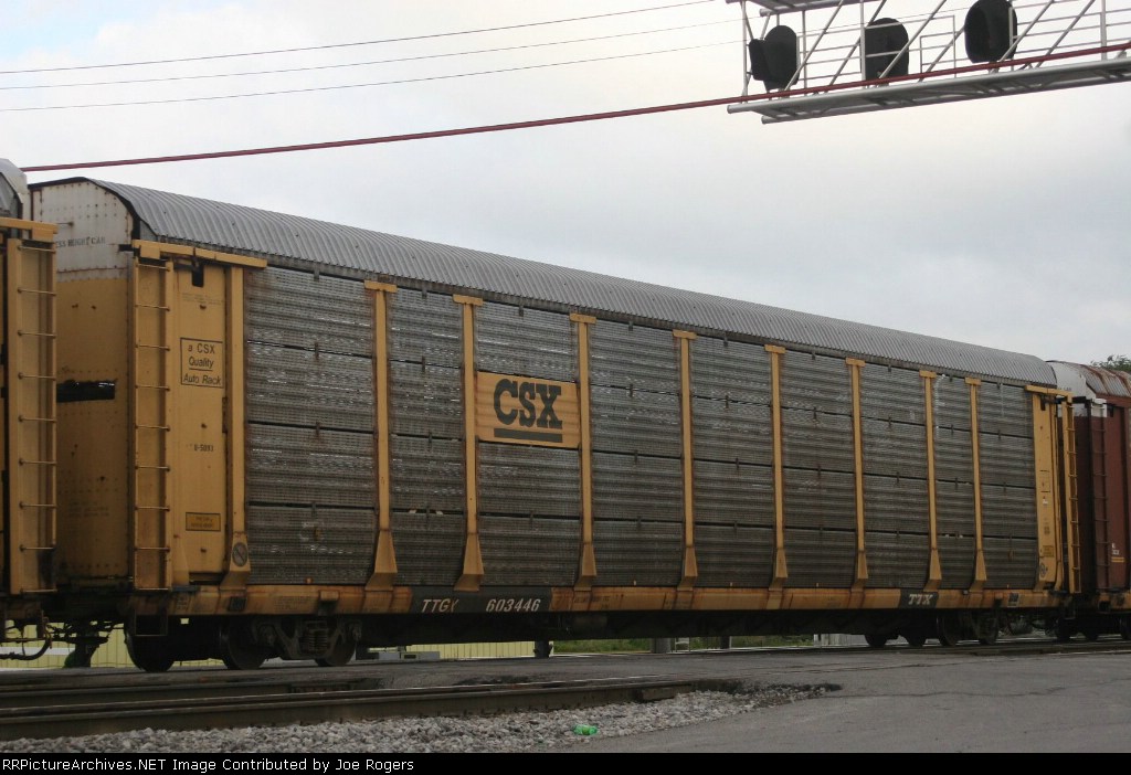 TTGX 603446