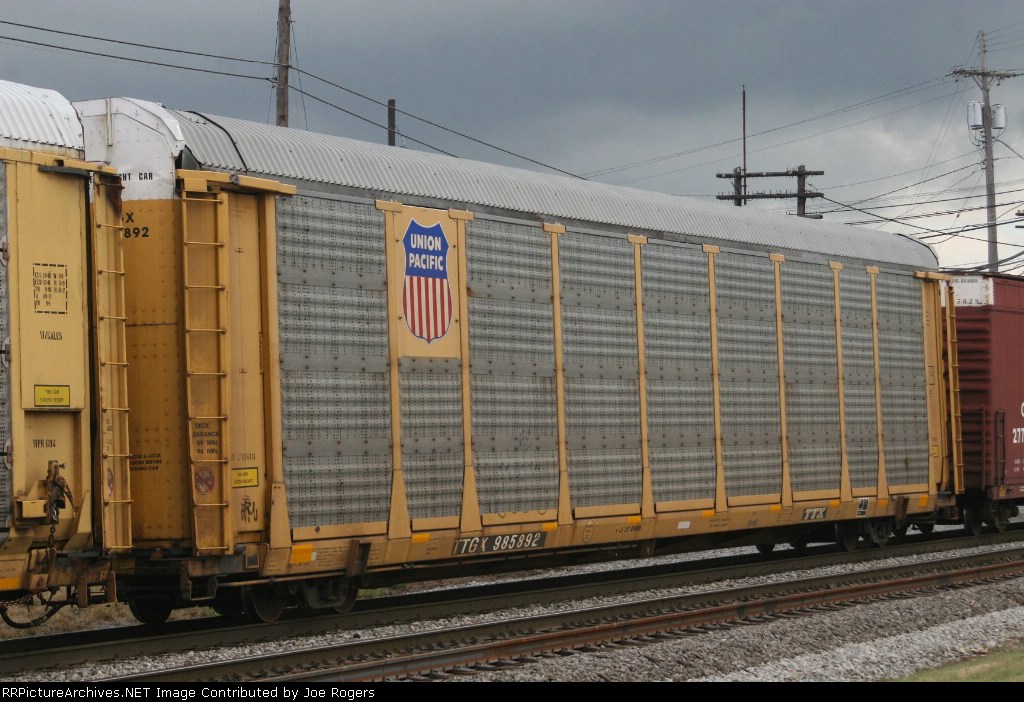 TTGX 985892