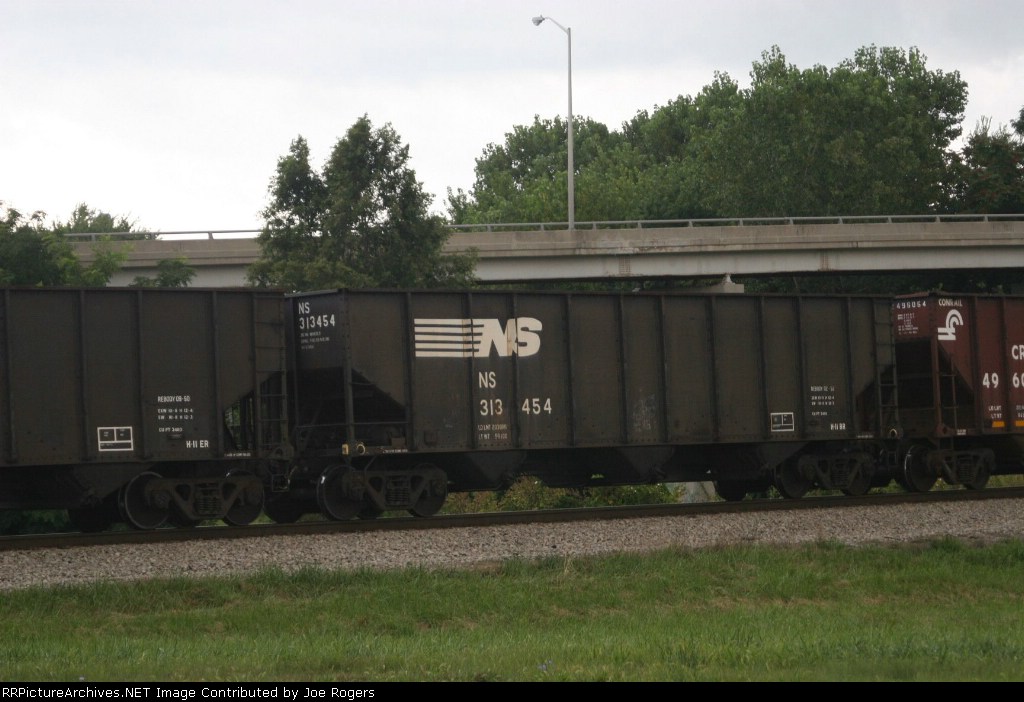 NS 313454