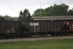 NS 313454