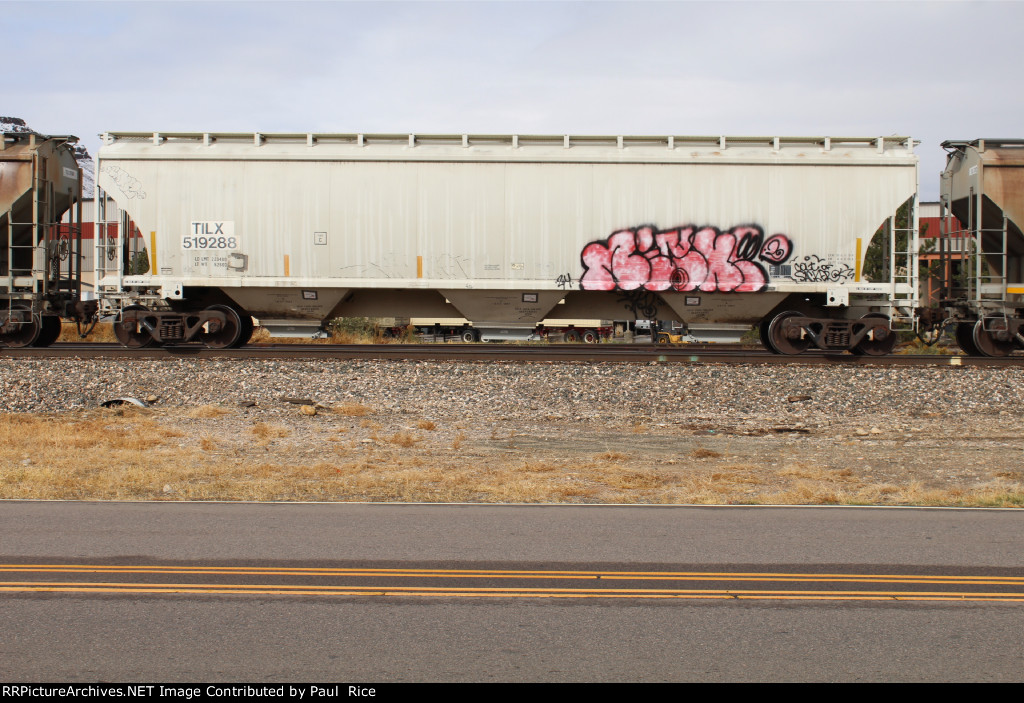 TILX 519288