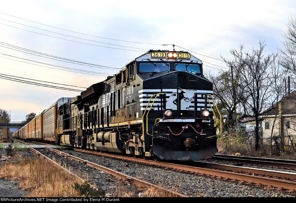 NS 3619 on 18N