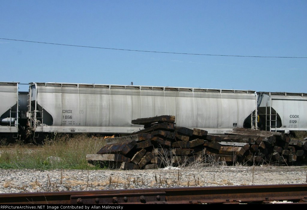 CRDX 1056
