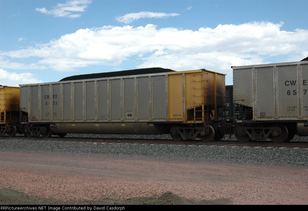CWEX 6133