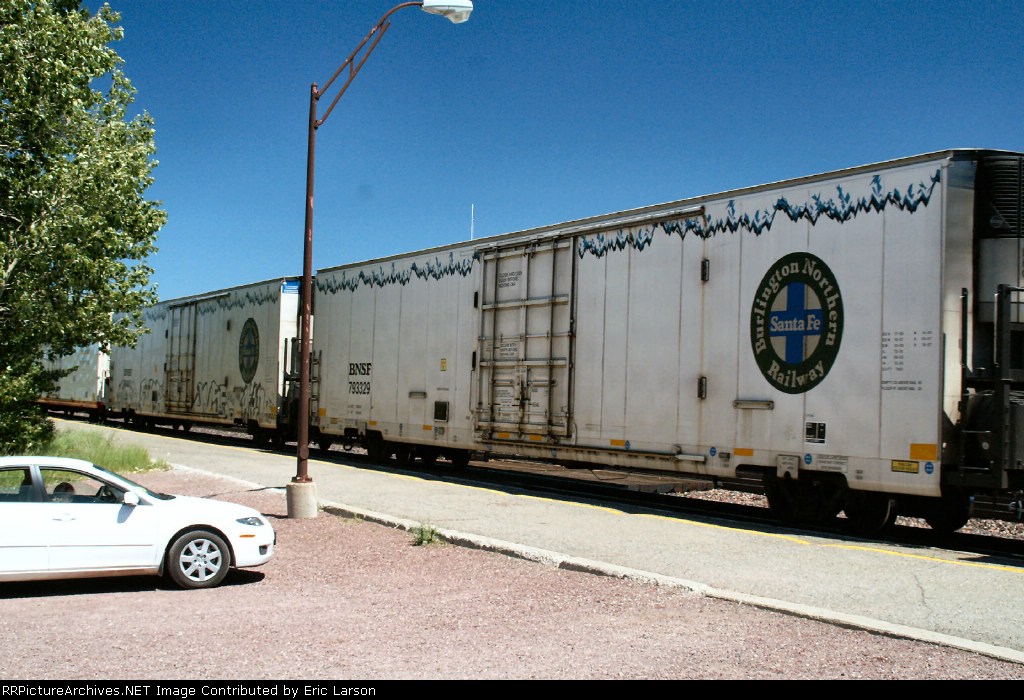 BNSF 793329