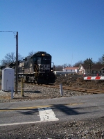 NS 8836
