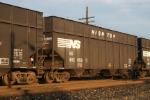 NS 802859