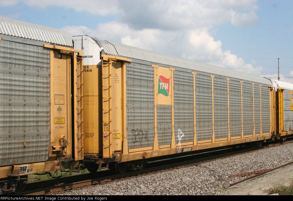 TTGX 995616