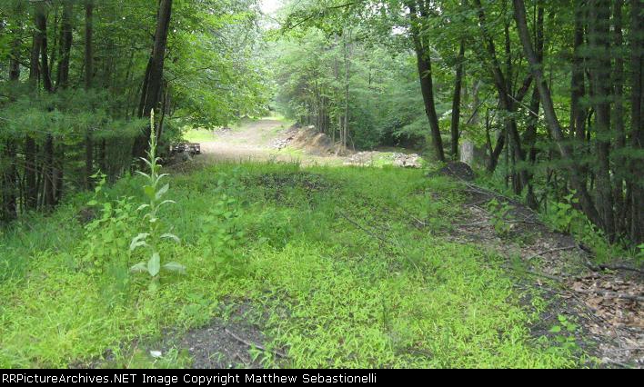 Where are the tracks 