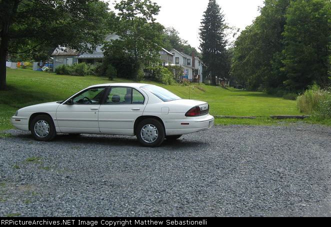 Lumina on the Branch