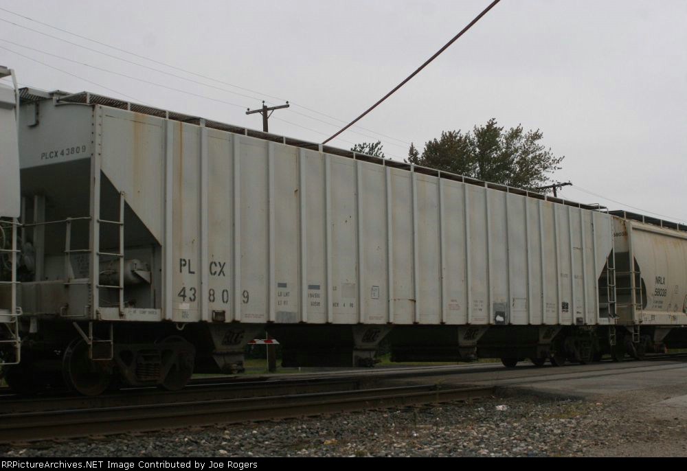 PLCX 43809