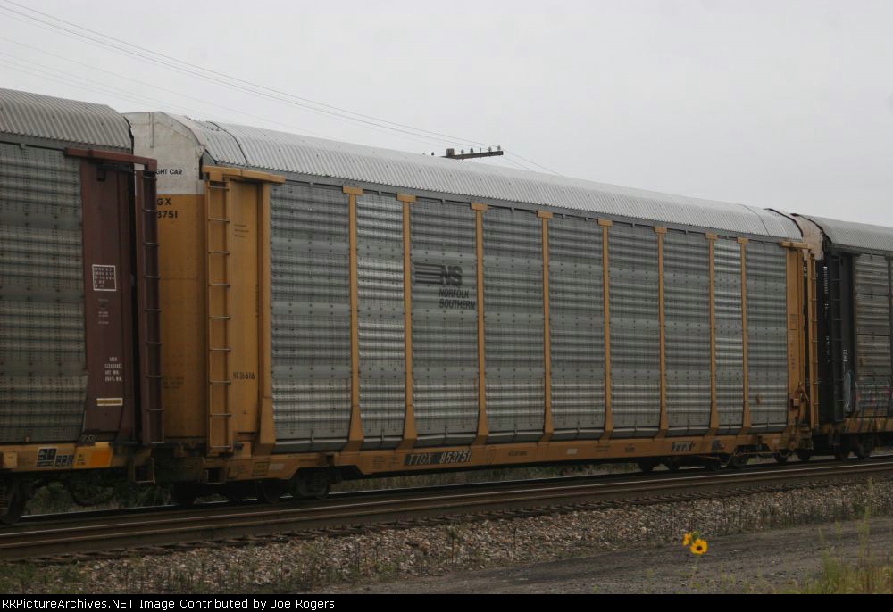 TTGX 853751